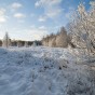 _DSC0555