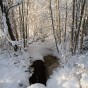 _DSC0557
