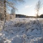 _DSC0560