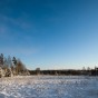 _DSC0566