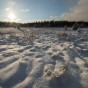 _DSC0569
