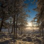 _DSC0600