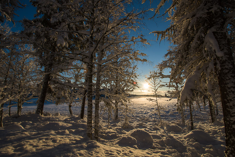 _DSC0600