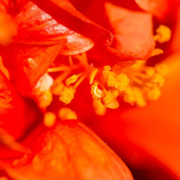 _DSC5568