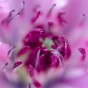 _DSC5586
