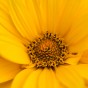 _DSC5607