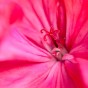 _DSC5622