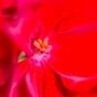 _DSC5626