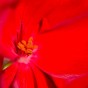 _DSC5637