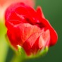 _DSC5894
