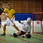 IBK sthammar - Lamadjurets AIBC 2011-03-19