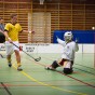 IBK sthammar - Lamadjurets AIBC 2011-03-19