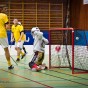 IBK sthammar - Lamadjurets AIBC 2011-03-19