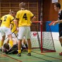 IBK sthammar - Lamadjurets AIBC 2011-03-19