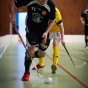 IBK sthammar - Lamadjurets AIBC 2011-03-19