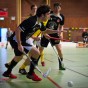 IBK sthammar - Lamadjurets AIBC 2011-03-19