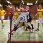 IBK sthammar - Lamadjurets AIBC 2011-03-19
