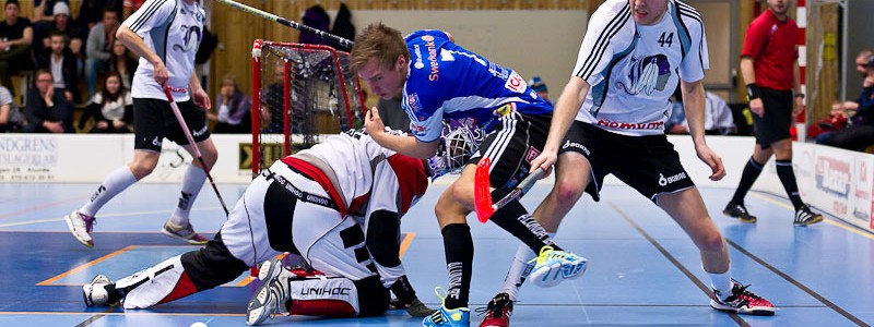 Alunda IBF - Alfta IBK 2012-02-26