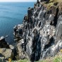 _PEL0752