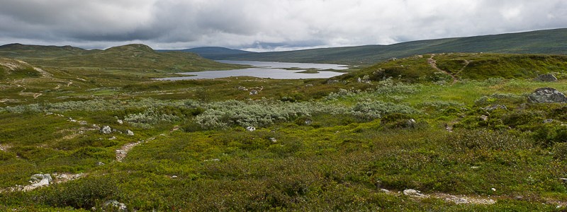 Hamra fjäll
