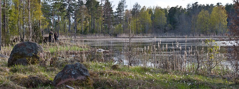 _PEL2976