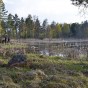 _PEL2976