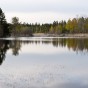 _PEL2983