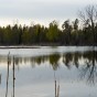 _PEL2990