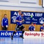 Alunda IBF - IS Saga 2011-11-25