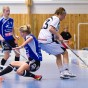 Alunda IBF - IBK Dalen 2011-01-23