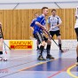 Alunda IBF - Kingsgrdens IBK 2011-02-05