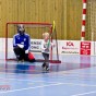 Alunda IBF - Livets Ord IF 2012-03-25