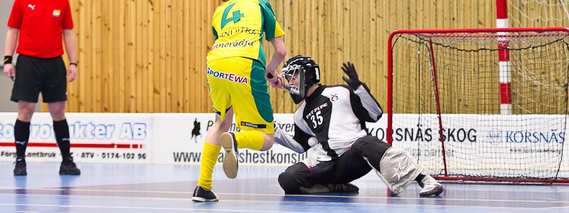 Alunda IBF - IK Ljusdal 2011-02-06