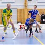 Alunda IBF - IK Ljusdal 2011-02-06