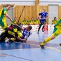 Alunda IBF - IK Ljusdal 2011-02-06