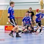 Alunda IBF - Gluggens IF 2012-01-22