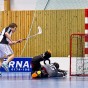 Alunda IBF - FBC Uppsala 2012-03-31