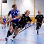 Alunda IBF - Gluggens IF 2012-01-22