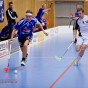 Alunda IBF - FBC Uppsala 2012-03-31