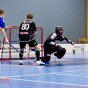 Alunda IBF - Gluggens IF 2012-01-22