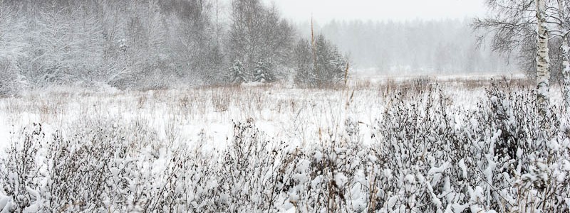 Vinterlandskap och Lappugglan kan vara där nånstans!