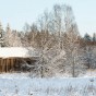 _PEL5931