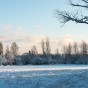 _PEL5943