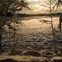 _PEL5950