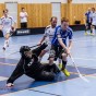 Alunda IBF - SkutskÃ¤rs IBK 2012-11-18