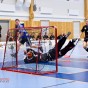 Alunda IBF - Gluggens IF 2012-01-22