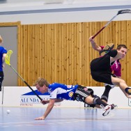 Alunda IBF - Uppsala IBK 2011-02-17