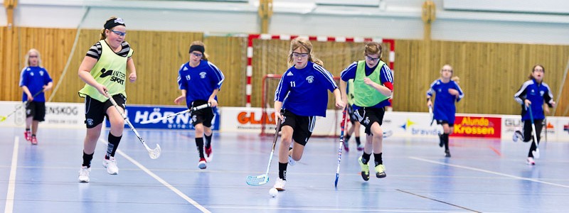 Alunda IBF Flickor 2012-02-12
